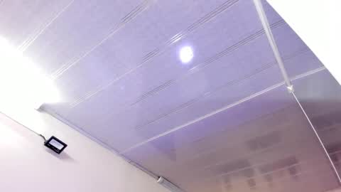 Maeve  online show from 12-30-24, 10:53