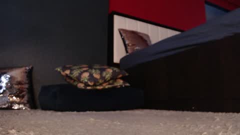 Alanna online show from 01-11-25, 05:20