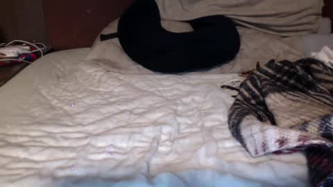 albertalbert9 online show from 12-13-24, 07:25