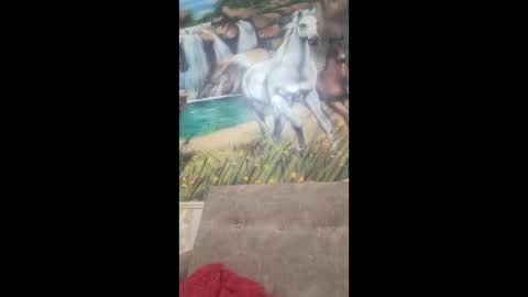 albina online show from 02-09-26, 08:40