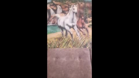 albina online show from 02-16-26, 07:48