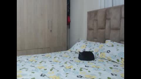 Snapshot of aleejhandra chatting on 01-28-25, 11:17 alejandra online show from 01-28-25, 11:17