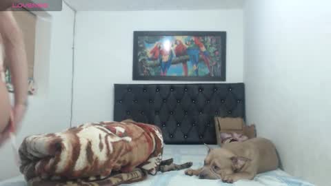 Snapshot of aleja_hornet chatting on 09-27-25, 01:10 aleja online show from 09-27-25, 01:10