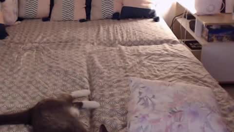 Snapshot of alessandra_foxy chatting on 02-28-25, 02:20 Sandra online show from 02-28-25, 02:20