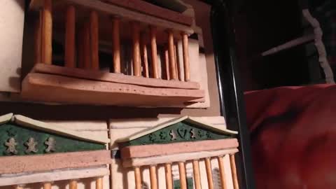 Alex Amazing online show from 01-28-25, 09:08