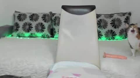 Alexa online show from 01-11-25, 11:23