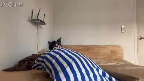 Snapshot of alexfilmx chatting on 10-16-25, 07:31 alexfilmx online show from 10-16-25, 07:31