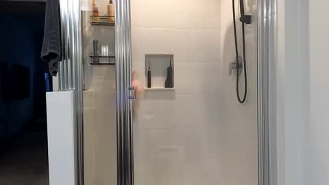 Alexi online show from 01-09-25, 12:41