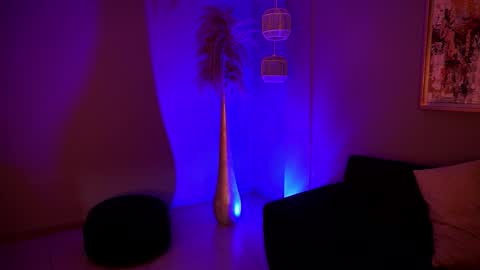 Alice online show from 02-05-26, 12:37