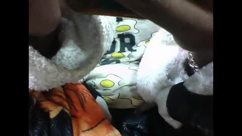 alicia253177 online show from 09-10-25, 06:30