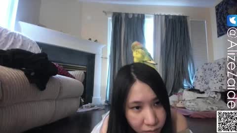 Alize Zaide online show from 11-17-25, 08:58