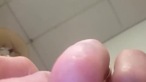 alldickandass11 online show from 02-14-26, 04:59