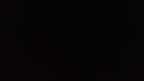 Allisson online show from 11-22-25, 03:49