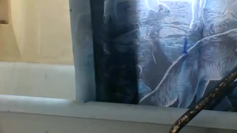 Snapshot of allwolf0323 chatting on 11-06-25, 03:24 allwolf0323 online show from 11-06-25, 03:24