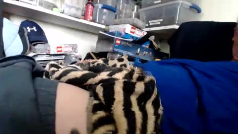 allwolf0323 online show from 03-13-26, 09:32