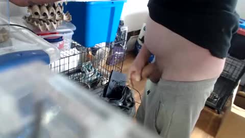 allwolf0323 online show from 04-14-26, 04:02