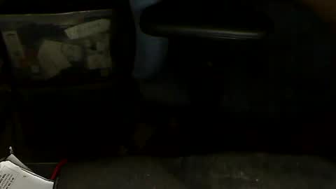 Snapshot of aloooopyscot chatting on 01-20-25, 07:04 Loooopy online show from 01-20-25, 07:04