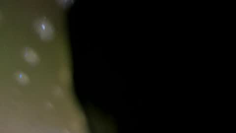 Snapshot of alotta_titties chatting on 02-05-26, 08:41 alotta_titties online show from 02-05-26, 08:41