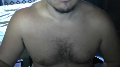 alpha_bear22 online show from 01-12-26, 08:03