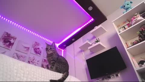 amazing_agness online show from 02-23-25, 07:00