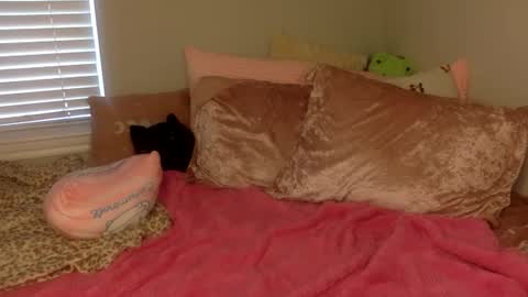 Amber 3 online show from 09-14-25, 03:22