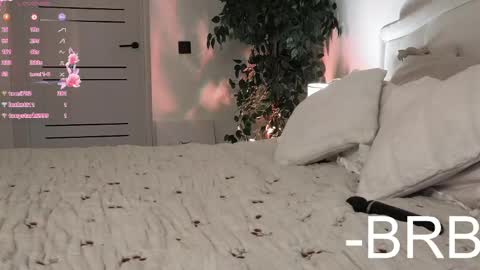 Amber online show from 04-16-26, 09:39