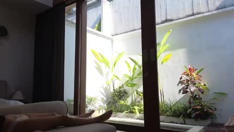 girl next door named Amy online show from 03-03-25, 07:54