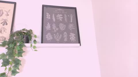  AMMY  online show from 02-20-26, 11:54