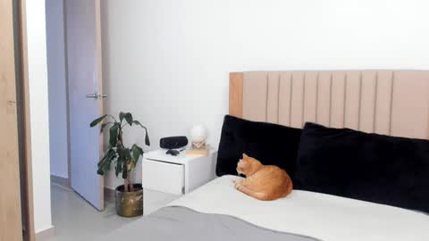 Ana Henao or Annie... Follow me ahenaocb Insta  X online show from 10-25-25, 09:42