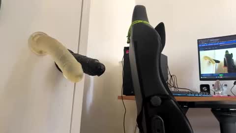 analass_ online show from 09-20-25, 11:00