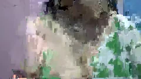 Snapshot of anamika794088 chatting on 01-12-25, 12:55 anamika794088 online show from 01-12-25, 12:55