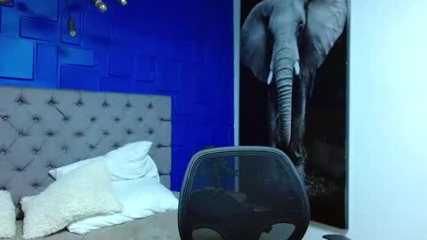 Snapshot of andre_parker chatting on 03-01-25, 10:42 Andre Parker online show from 03-01-25, 10:42