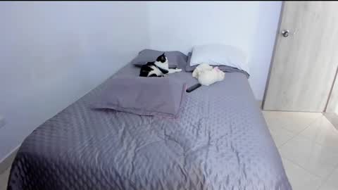 Andrea online show from 03-02-25, 09:43