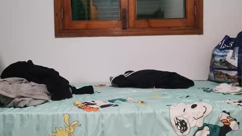 Snapshot of andreudickhard91 chatting on 12-01-24, 08:31 Andreu online show from 12-01-24, 08:31