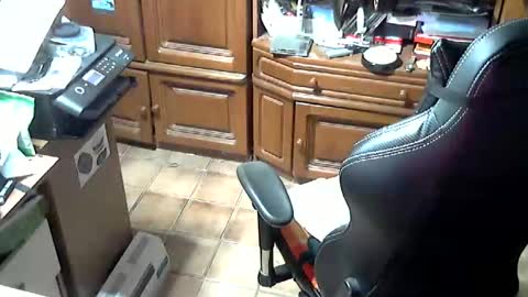 androgynia online show from 10-17-25, 11:57