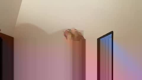 andysap online show from 01-10-25, 01:09