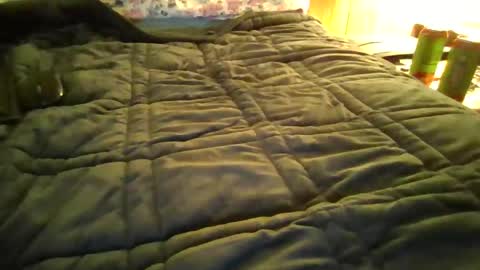 Snapshot of andywan94 chatting on 01-20-25, 01:42 andywan94 online show from 01-20-25, 01:42