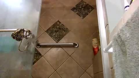 Snapshot of andywan94 chatting on 02-07-25, 05:10 andywan94 online show from 02-07-25, 05:10