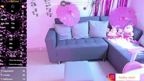 Snapshot of aneko_morii chatting on 02-06-25, 04:58 online show from 02-06-25, 04:58