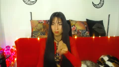 Snapshot of angela_mis chatting on 12-20-24, 02:19 Angela online show from 12-20-24, 02:19