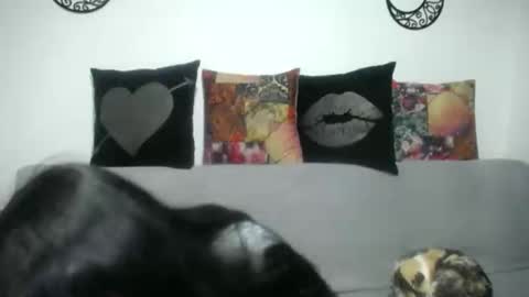 Snapshot of angela_mis chatting on 03-07-25, 03:19 Angela online show from 03-07-25, 03:19