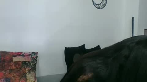 Snapshot of angela_mis chatting on 03-11-25, 02:32 Angela online show from 03-11-25, 02:32