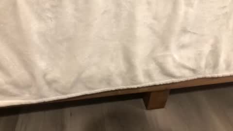 Snapshot of angeleliza0113 chatting on 02-14-26, 06:32 Mira13 online show from 02-14-26, 06:32