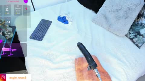 angiee roses online show from 12-13-24, 06:21