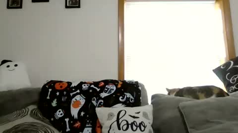 anne online show from 10-28-25, 01:47