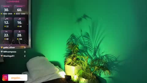 Snapshot of anne_babb chatting on 02-15-25, 11:58 ANG online show from 02-15-25, 11:58