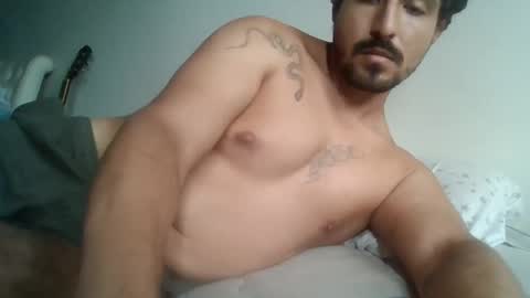 Snapshot of annibalhibou chatting on 03-11-25, 09:37 Annibalhibou online show from 03-11-25, 09:37