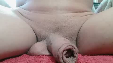 Snapshot of annitsxfastnsa chatting on 02-14-25, 03:47 annitsx online show from 02-14-25, 03:47