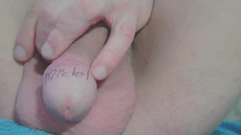 Snapshot of annitsxfastnsa chatting on 03-08-25, 01:03 annitsx online show from 03-08-25, 01:03