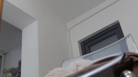 Snapshot of annyarose chatting on 12-02-24, 11:45 Anna online show from 12-02-24, 11:45